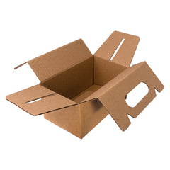 BOX LUNCH MEDIUM 20X12X10 cm