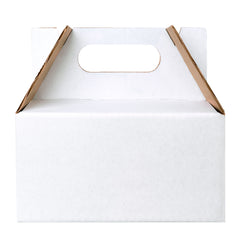 BOX LUNCH MEDIUM 20X12X10 cm