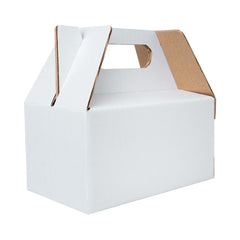 BOX LUNCH MEDIUM 20X12X10 cm