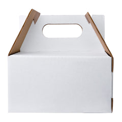 BOX LUNCH MEDIUM 20X12X10 cm