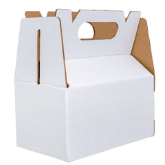 BOX LUNCH MEDIUM 20X12X10 cm