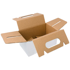 BOX LUNCH MEDIUM 20X12X10 cm