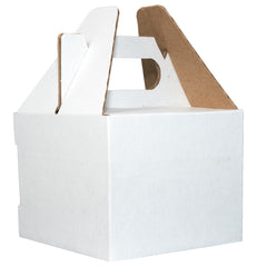 BOX LUNCH SMALL 10X10X8 cm