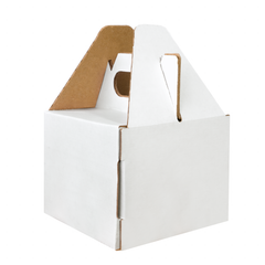 BOX LUNCH SMALL 10X10X8 cm