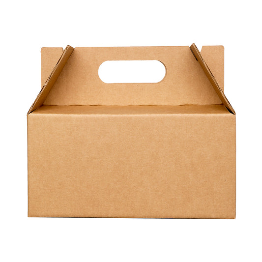 BOX LUNCH LARGE 25X15X12 cm