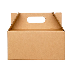 BOX LUNCH LARGE 25X15X12 cm