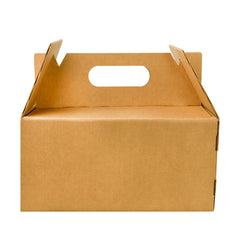 BOX LUNCH LARGE 25X15X12 cm