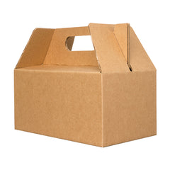 BOX LUNCH LARGE 25X15X12 cm