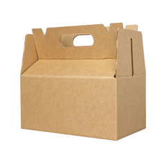BOX LUNCH LARGE 25X15X12 cm