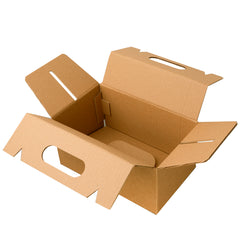 BOX LUNCH LARGE 25X15X12 cm