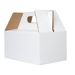 BOX LUNCH LARGE 25X15X12 cm