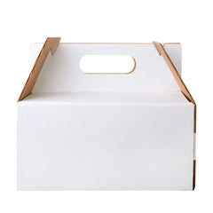 BOX LUNCH LARGE 25X15X12 cm