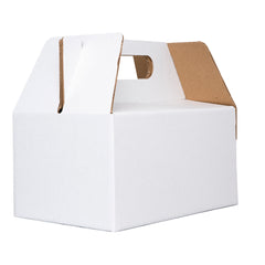 BOX LUNCH LARGE 25X15X12 cm