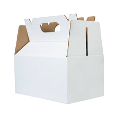 BOX LUNCH LARGE 25X15X12 cm