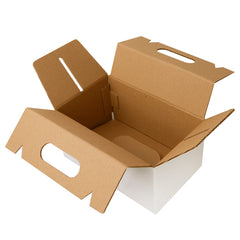 BOX LUNCH LARGE 25X15X12 cm