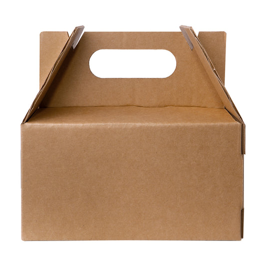 BOX LUNCH MEDIUM 20X12X10 cm