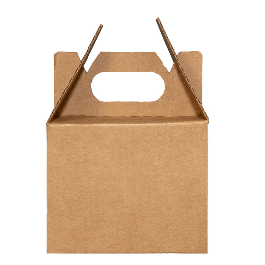 BOX LUNCH SMALL 10X10X8 cm