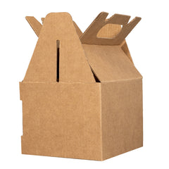 BOX LUNCH SMALL 10X10X8 cm