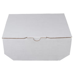 FOOD BOX MEDIUM  13X13X8 cm