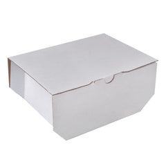 FOOD BOX MEDIUM  13X13X8 cm