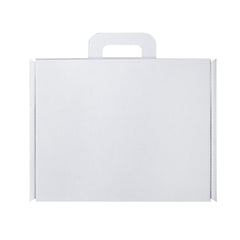 MALETIN BOX 32.4X27.4X10 cm